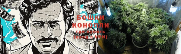 a pvp Богородск