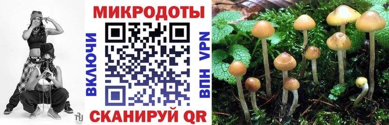 omg ссылка  магазин продажи наркотиков  Ершов  Галлюциногенные грибы Magic Shrooms 